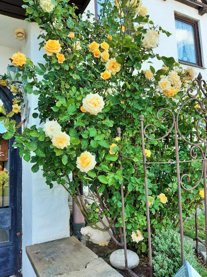 Hotel/Pension Rosengarten Franking Εξωτερικό φωτογραφία