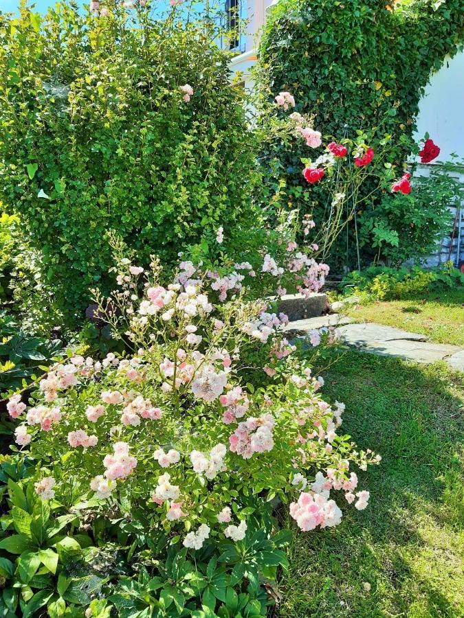 Hotel/Pension Rosengarten Franking Εξωτερικό φωτογραφία