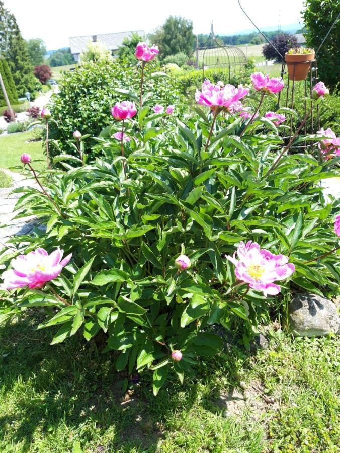 Hotel/Pension Rosengarten Franking Εξωτερικό φωτογραφία